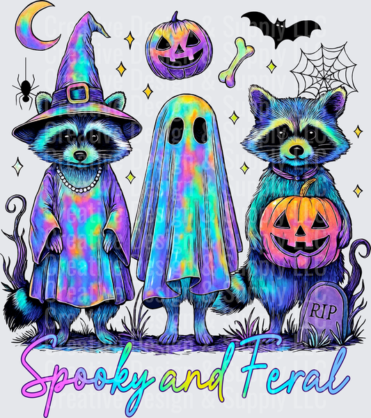 Halloween 2571