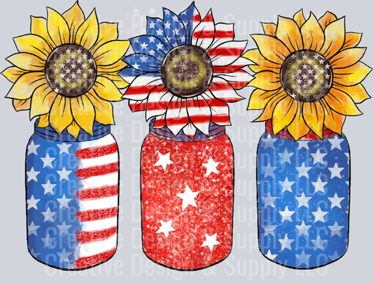 4th of July 2347