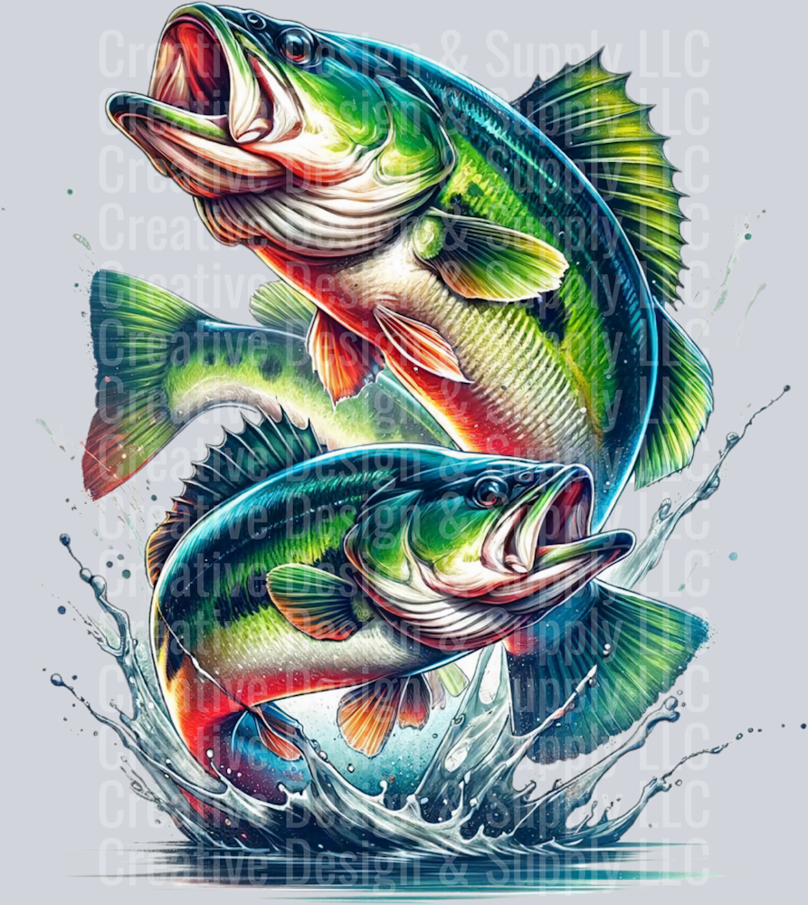 Fishing 2430