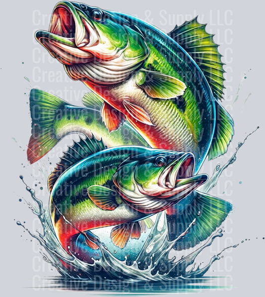 Fishing 2430