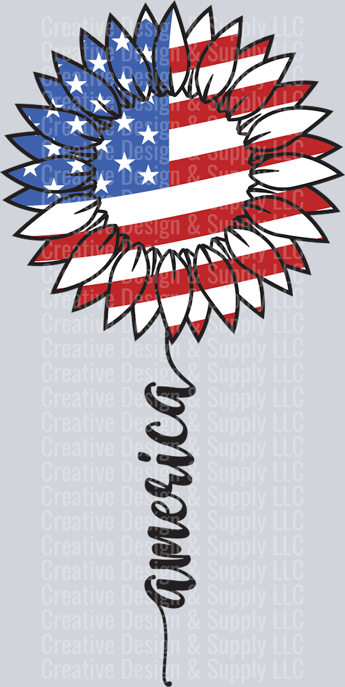 4th of July 2215