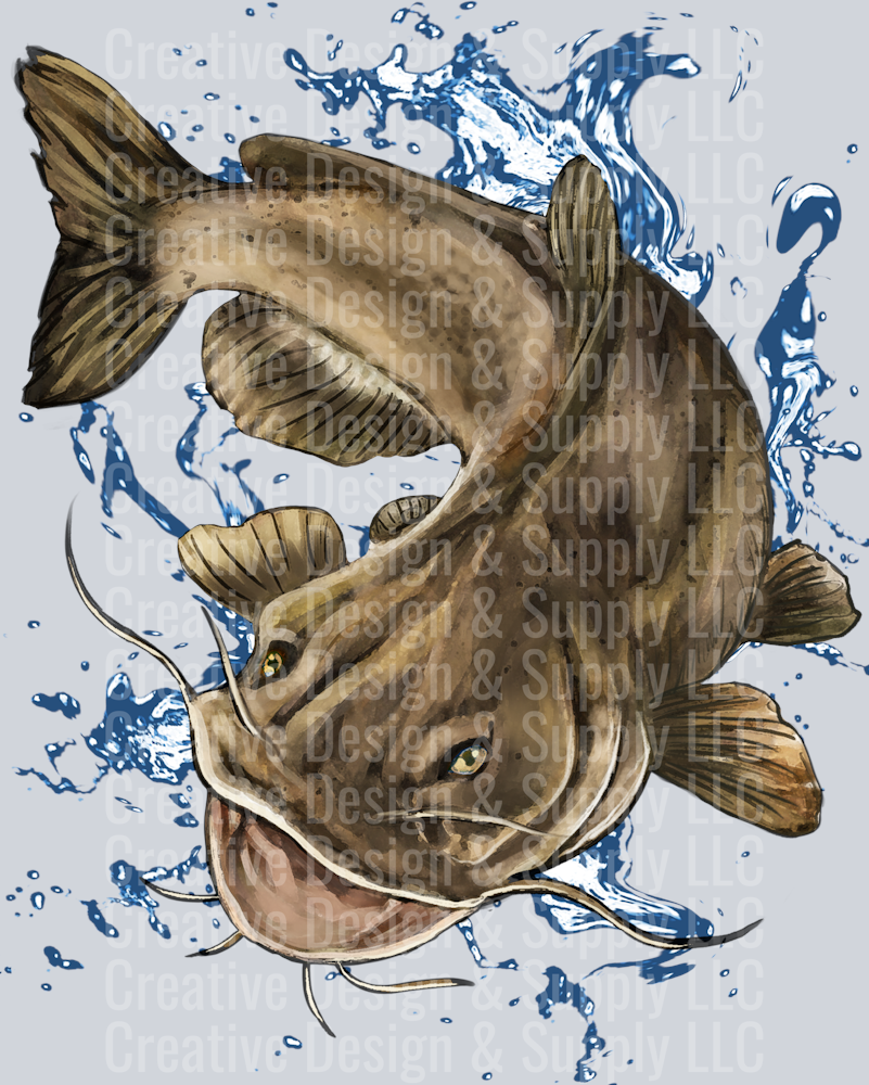 Fishing 2201