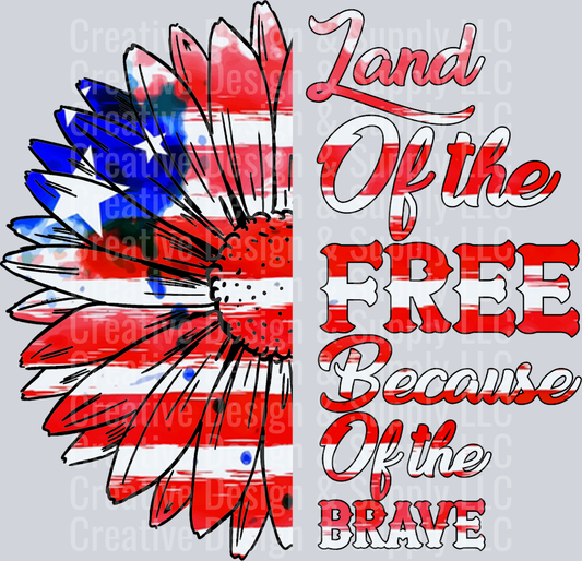 4th of July 2236